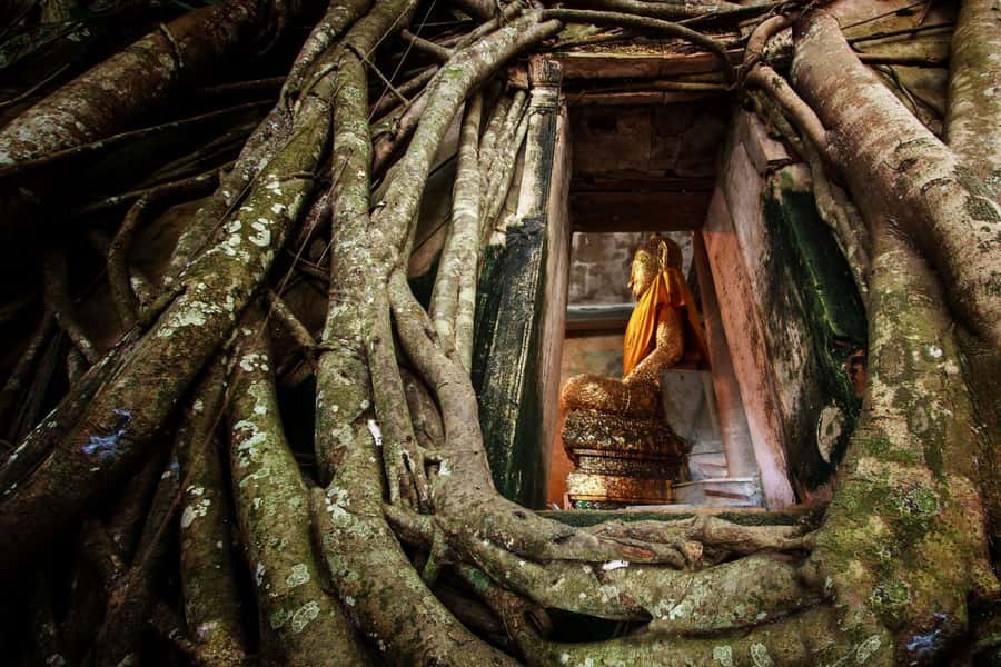 Bangkok: Dragon Temple, Roots Temple and Amphawa in spanish - Wat Bang Kung, the Temple of the Roots