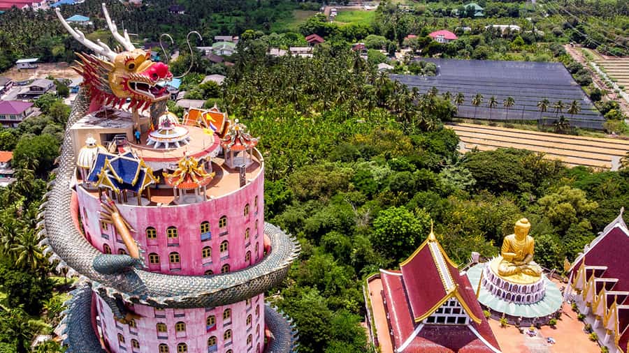 Bangkok: Dragon Temple, Roots Temple and Amphawa in spanish - Wat Samphran and the dragon tower