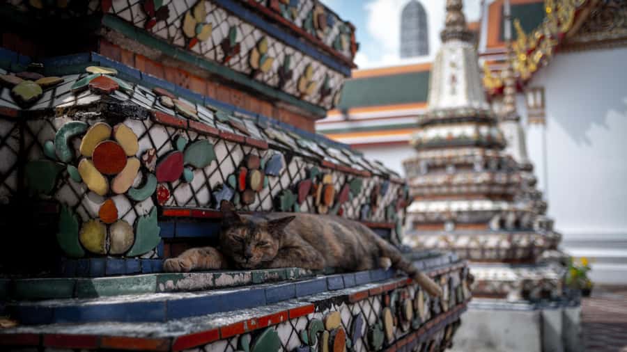 Bangkok: Grand Palace, Wat Pho and Wat Arun - Price, inclusions, and the extra costs