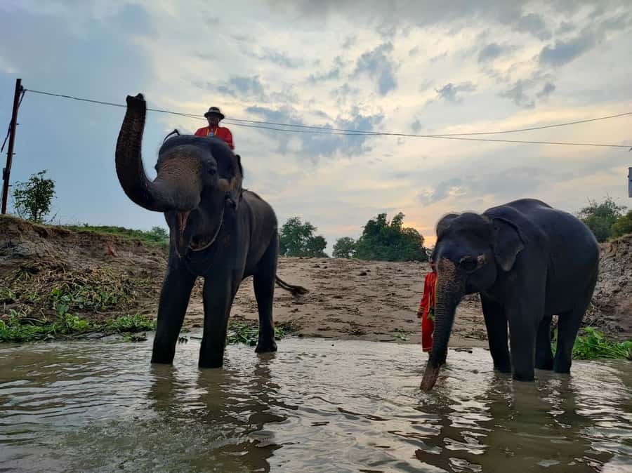 Bangkok: Private Trip to Ayutthaya Temples & Night Market - Why Ayutthaya Works as a Day Trip from Bangkok