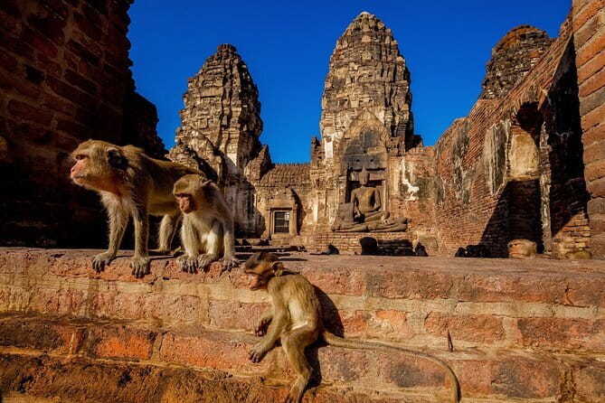 Bangkok to Ayutthaya Lopburi Monkey Temple, Largest Buddha Tour - Three very different sides of central Thailand