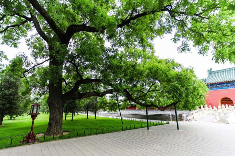Beijing：Forbidden City Tour—Temple, Summer Palace&Great Wall - Guides make the difference