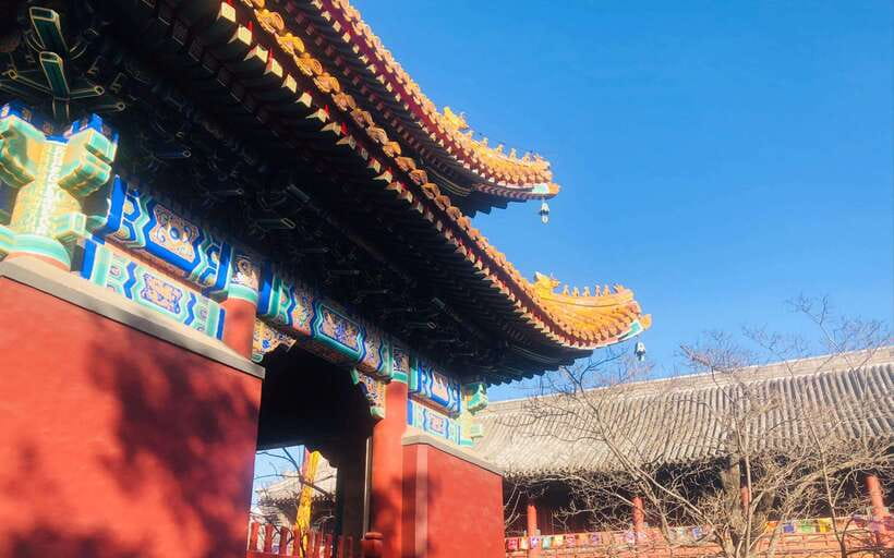 Beijing lama Temple Or Confucius Temple Tickets Reservation - Should you book the Lama Temple and Confucius Temple visit?