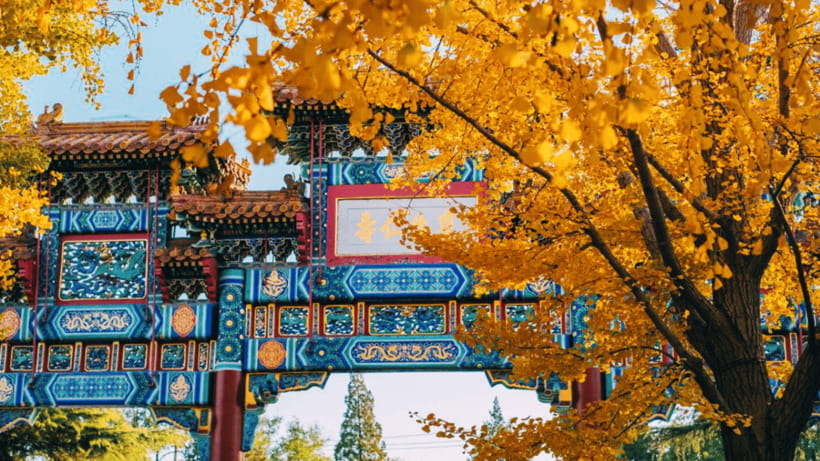 Beijing: Lama Temple (Yonghe Temple) Admission Ticket - How the $10 ticket works in practice