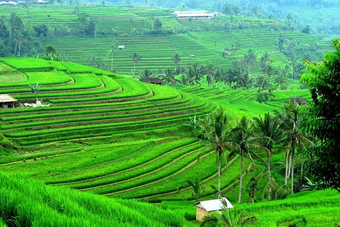 Beratan , lake side temple tour , all inclusive - Jatiluwih’s wide rice-growing views