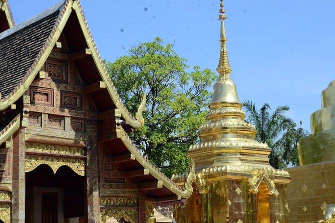 Best of Chiangmai day trip Temples and Sticky waterfall - What this six-hour Chiang Mai outing is really like