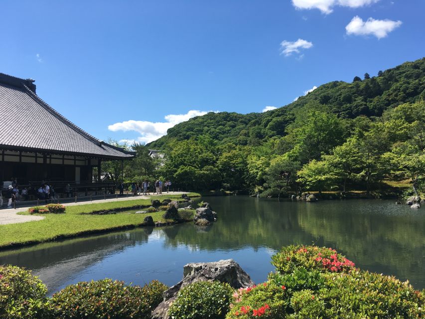 Best of Kyoto: Red Gates of Fushimi Inari & Kiyomizu Temple - The walking demands are real