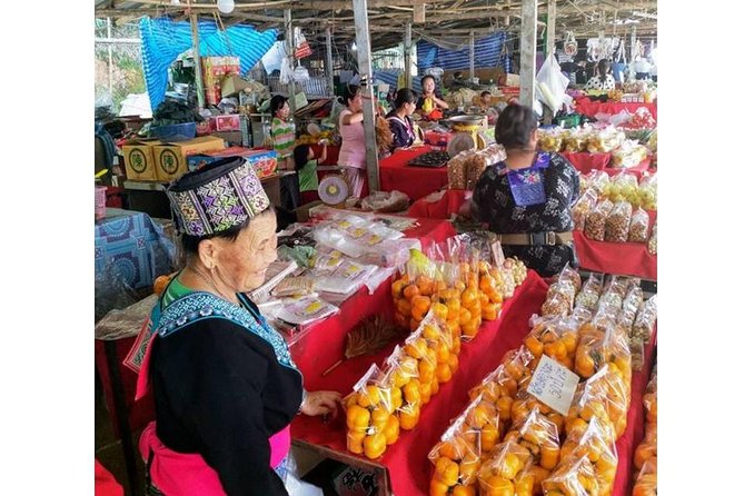 Best Places in Chiang Rai White, Blue, Big Buddha, Tea Plantation - Singha Park and the tea plantation