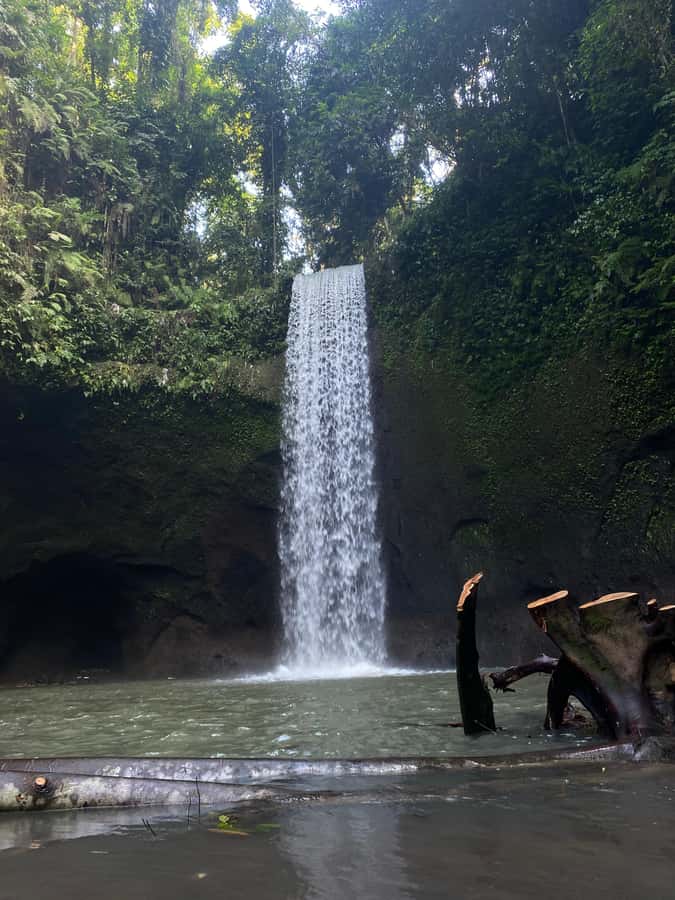 Best Watefalls, Monkey Forest, Temple and Rice terrace - What the $40 price really covers