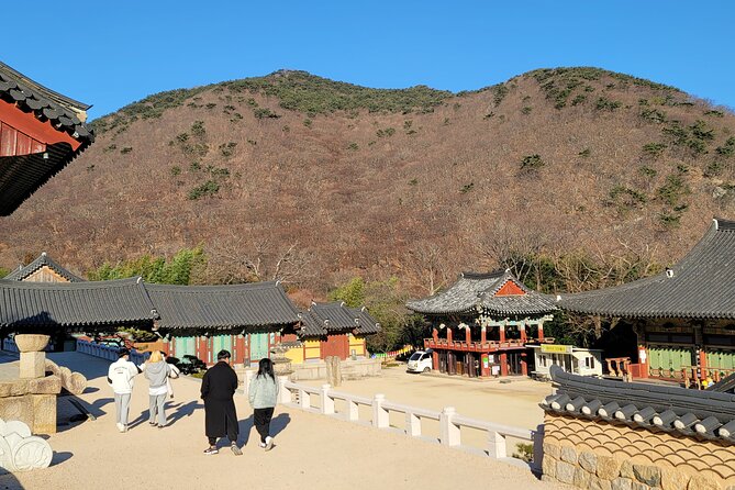 Busan Beomeosa Temple & Hongbeopsa Temple with temple lunch - What the guide adds to the day