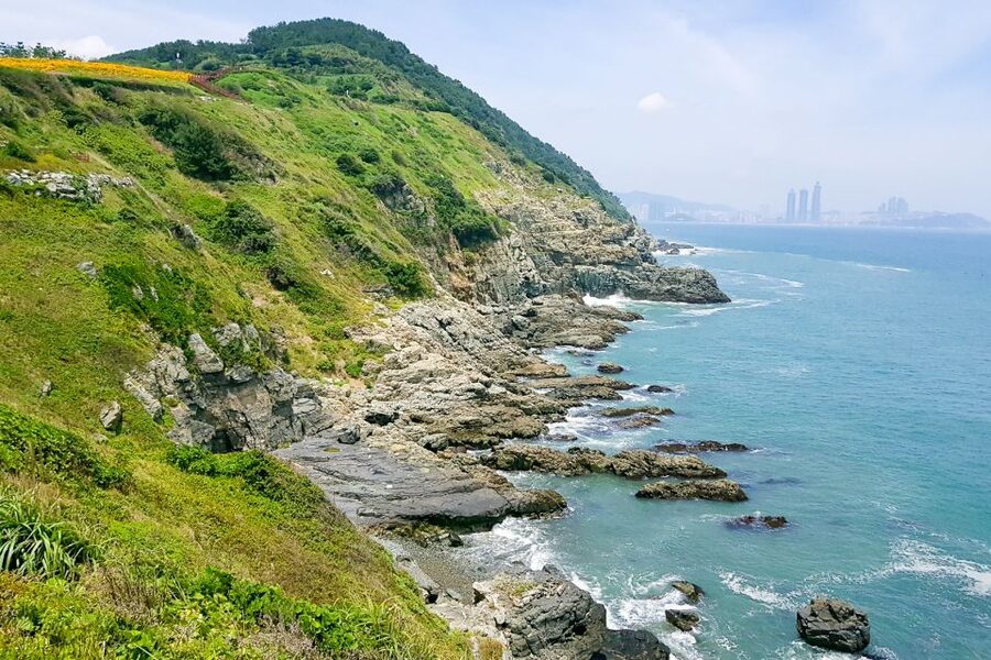 Busan Day Tour with Haedong Yonggungsa Temple & More - Why this Busan tour works for a first day