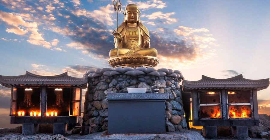 Busan Day Tour with Haedong Yonggungsa Temple & More - Lunch with Korean flavors