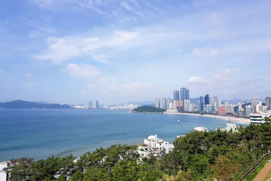 Busan Day Tour with Haedong Yonggungsa Temple & More - Jagalchi Market and the old port