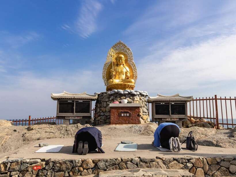 Busan's Best: Sea Temples, Yacht Tour & Sky Capsule Day Tour - Lunch and a useful pause in the middle