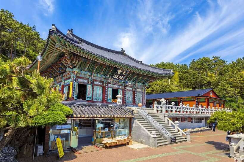 Busan's Best: Sea Temples, Yacht Tour & Sky Capsule Day Tour - Gamcheon Culture Village and the final walk
