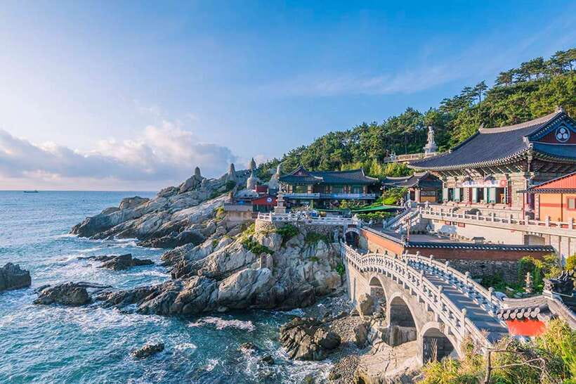 Busan's Best: Sea Temples, Yacht Tour & Sky Capsule Day Tour - Guides and the value of a fixed schedule