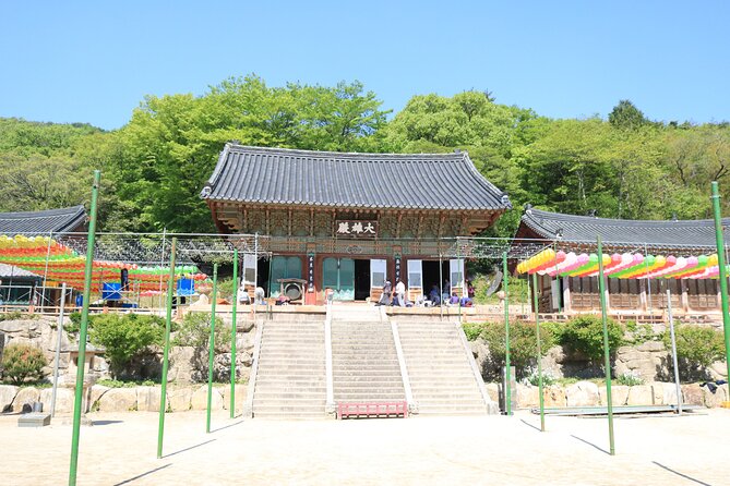 Busan Sightseeing Tour Including Gamcheon Culture Village and Beomeosa Temple - Guides, group size, and the human side of the day