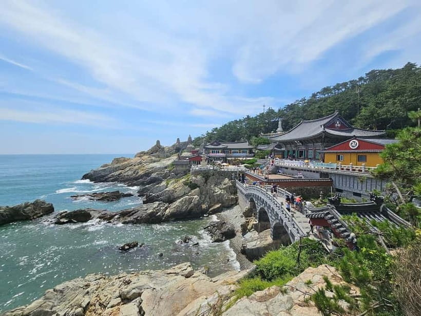 Busan Tour: Gamcheon Village & Yonggungsa Temple + Lunch - A full day that gives you Busan’s big picture
