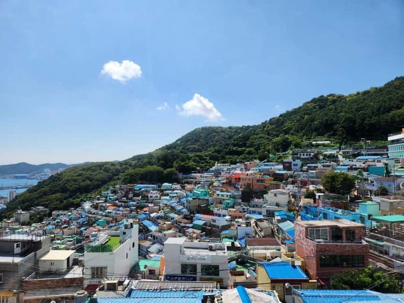 Busan Tour: Gamcheon Village & Yonggungsa Temple + Lunch - Gamcheon Culture Village: color, hills, and narrow lanes