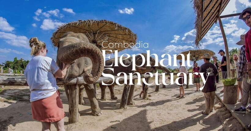 Cambodia Elephant Sanctuary and Banteay Srey Temple Tour - Walking to Kbal Spean and the 1,000 Lingas