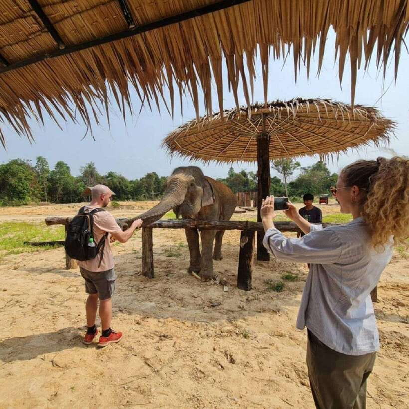 Cambodia Elephant Sanctuary and Banteay Srey Temple Tour - What the $71 price really covers