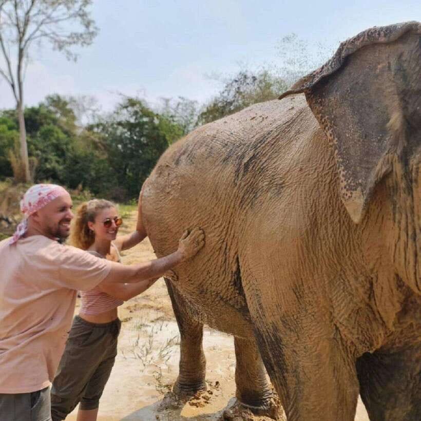 Cambodia Elephant Sanctuary and Banteay Srey Temple Tour - Who will enjoy this tour most