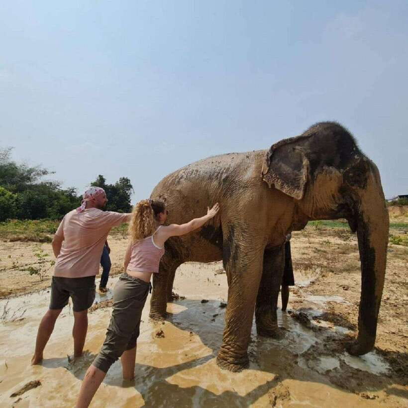 Cambodia Elephant Sanctuary and Banteay Srey Temple Tour - What to bring and what to expect from the guide