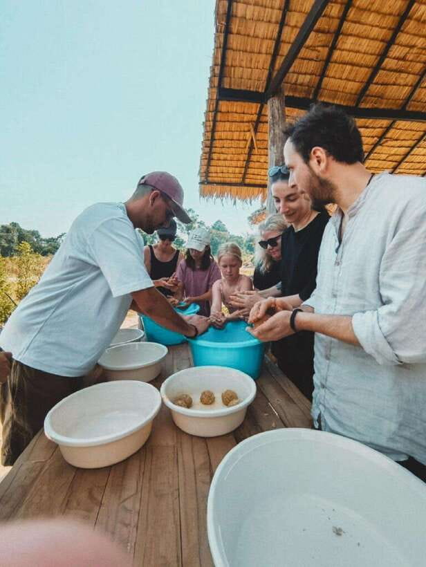 Cambodia Elephant Sanctuary and Banteay Srey Temple Tour - Should you book this Siem Reap day tour?