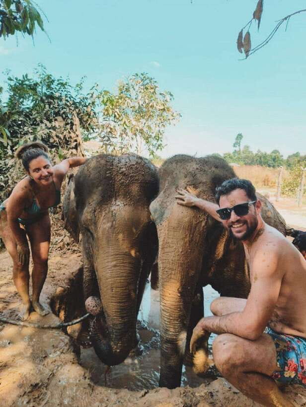 Cambodia Elephant Sanctuary and Banteay Srey Temple Tour - Banteay Srei and its pink sandstone carvings
