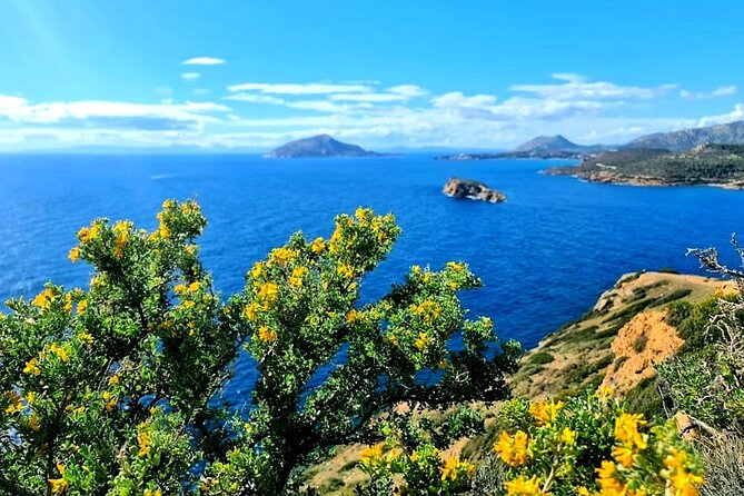 Cape Sounio and Temple Poseidon Tour with Swimming - Is $96.13 a fair price?