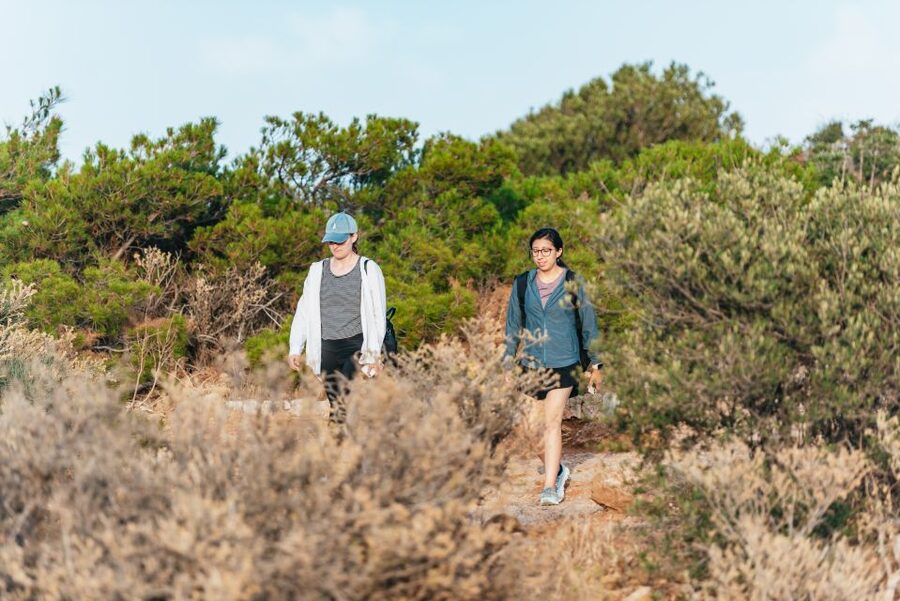 Cape Sounion & Temple of Poseidon: Small Group Tour - Is the $41 price good value?