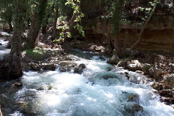 Chania Private Tour: Monastery, Scenic Gorge & Mountain Views - Lunch at a family-run mountain taverna
