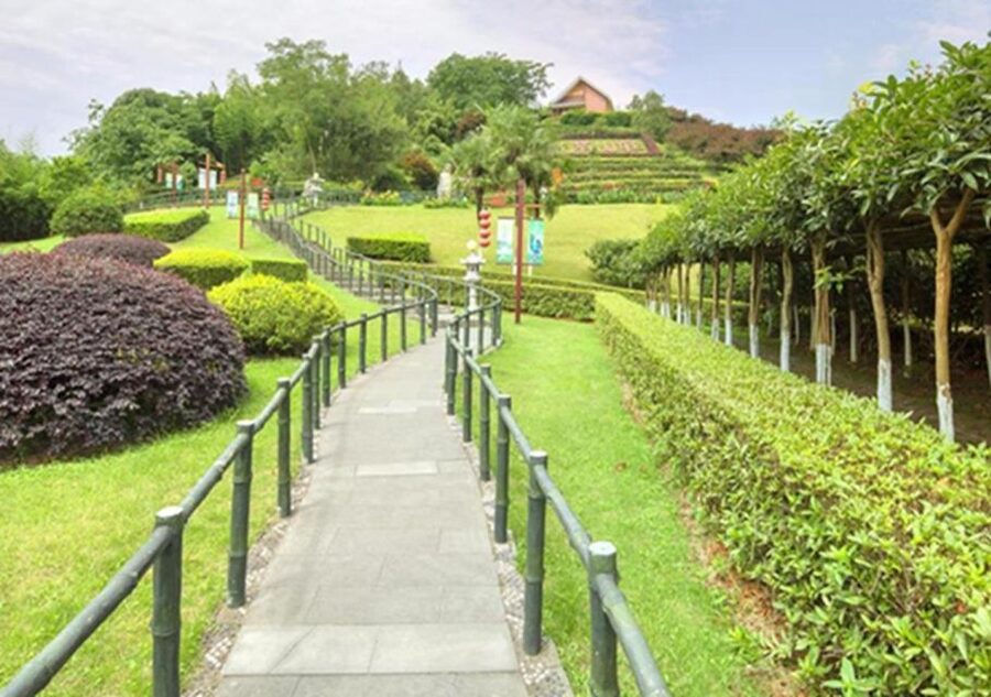 Chengdu panda & Leshan Buddha One Day Private Tour - Why this Chengdu day works so well