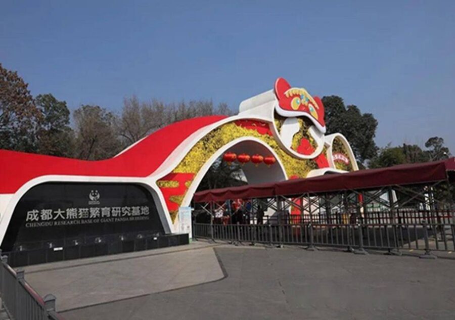 Chengdu panda & Leshan Buddha One Day Private Tour - What makes the panda visit worth your morning