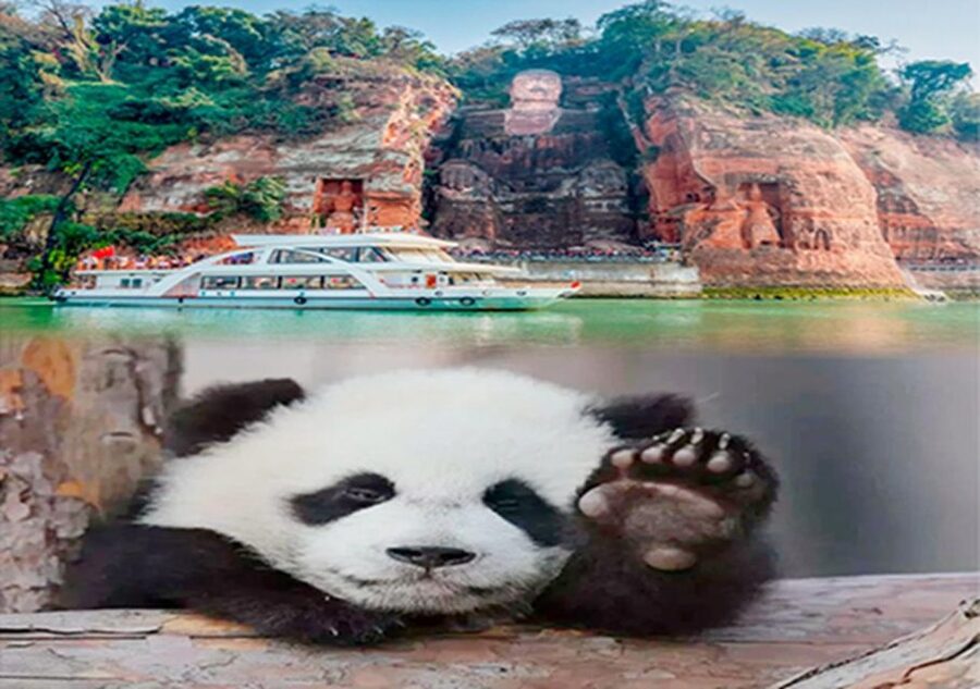 Chengdu panda & Leshan Buddha One Day Private Tour - Seeing the Leshan Buddha from the river