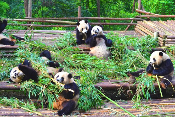 Chengdu Panda & Leshan Giant Buddha Premium Private Day Tour - Hiking or taking the river boat