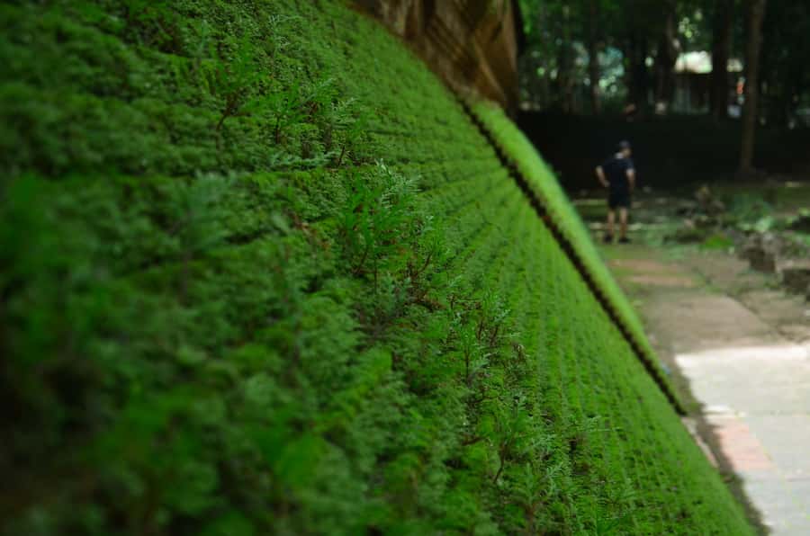 Chiang Mai: 4-hour Doi Suthep, Wat Umong, & Wat Phalat Tour - Wat Pha Lat, the Forest Stop With a Waterfall