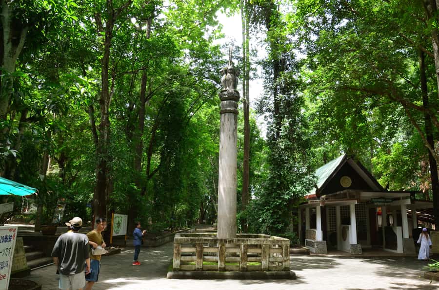 Chiang Mai: 4-hour Doi Suthep, Wat Umong, & Wat Phalat Tour - Who Will Enjoy This Outing Most?