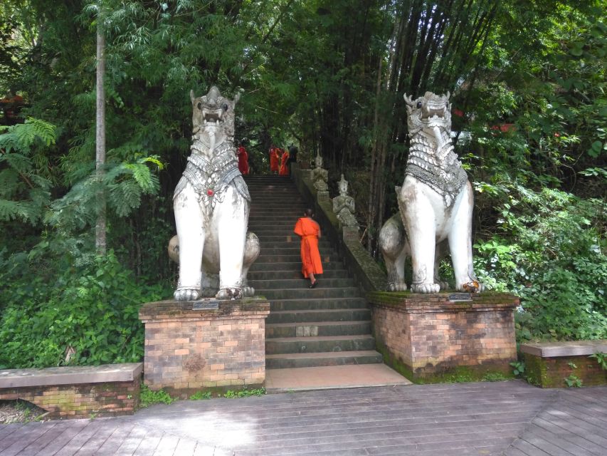 Chiang Mai: 7-Hour Doi Suthep National Park Summit Hiking - Key points to know before you book