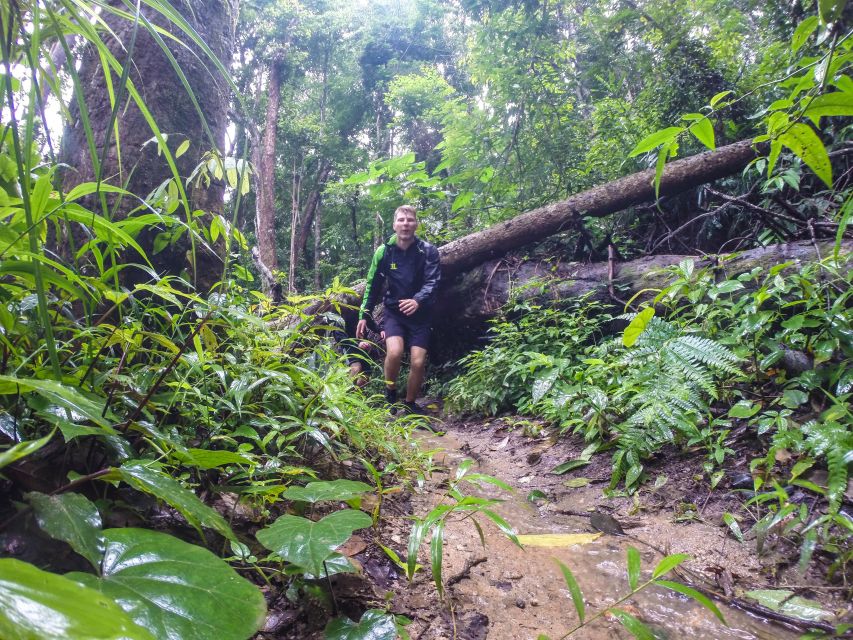 Chiang Mai: 7-Hour Doi Suthep National Park Summit Hiking - Into Doi Suthep-Pui National Park
