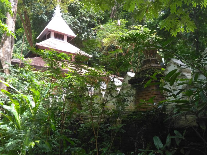 Chiang Mai: 7-Hour Doi Suthep National Park Summit Hiking - Doi Pui village and the long-awaited view