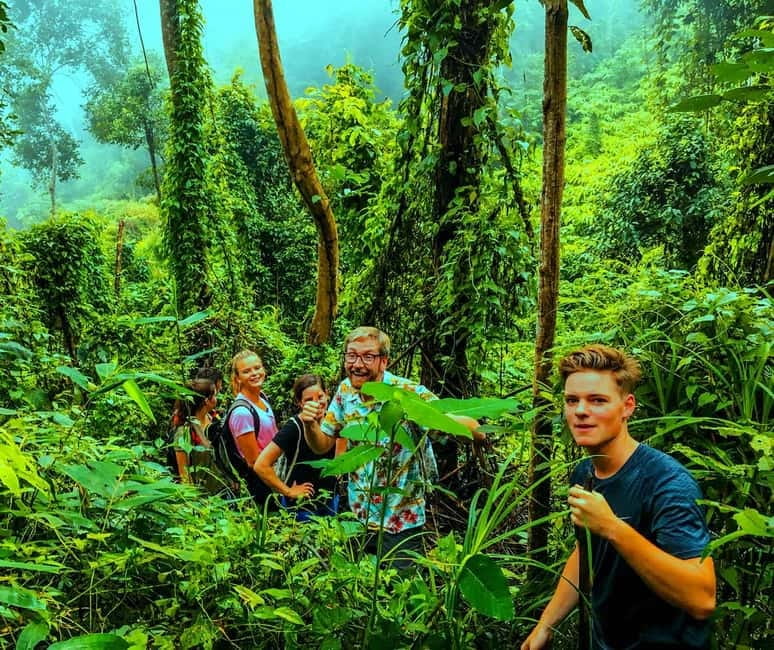 Chiang Mai: 7-Hour Doi Suthep National Park Summit Hiking - The ride down and the second temple stop