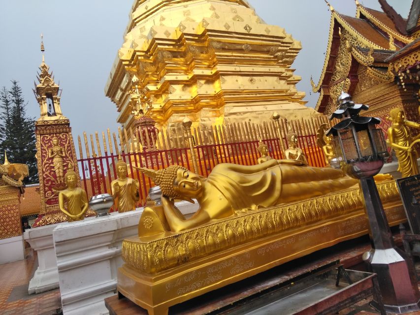 Chiang Mai: 7-Hour Doi Suthep National Park Summit Hiking - What $60 gets you