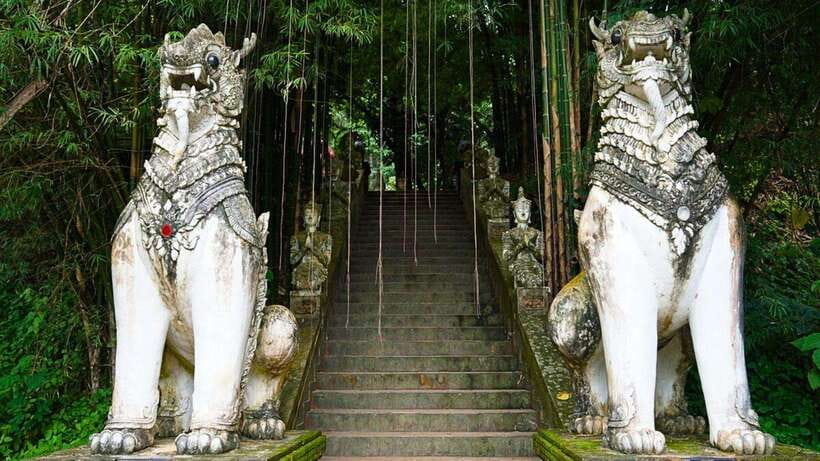 Chiang Mai: Doi Suthep and Wat Pha Lat Temple Evening Tour - Price and what the $22 covers