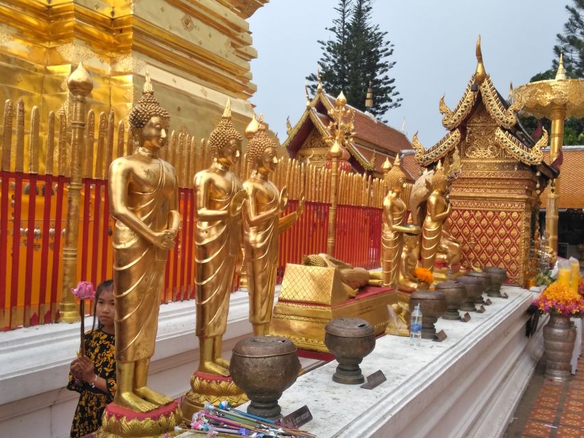 Chiang Mai: Doi Suthep National Park Leisure Hiking & Biking - The downhill ride rewards control, not bravado