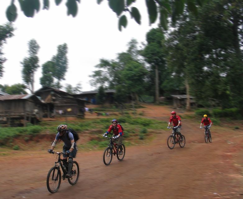 Chiang Mai: Doi Suthep National Park Leisure Hiking & Biking - Wat Pha Lat is the quieter temple stop