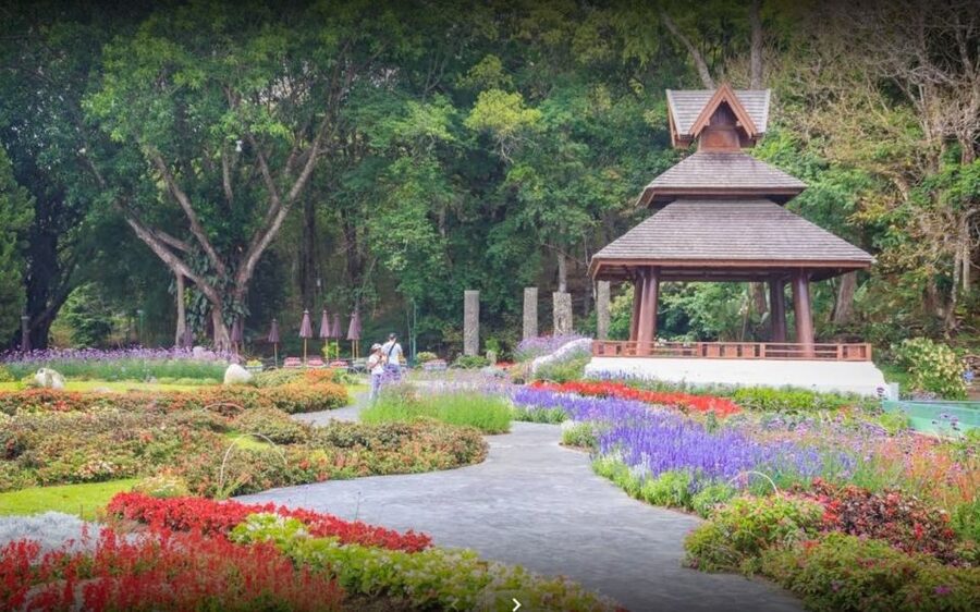 Chiang Mai: Doi Suthep National Park Leisure Hiking & Biking - Transport and equipment make the price easier to judge
