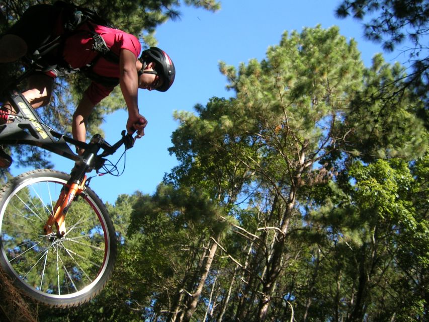 Chiang Mai: Doi Suthep National Park Leisure Hiking & Biking - The guide can shape the whole day