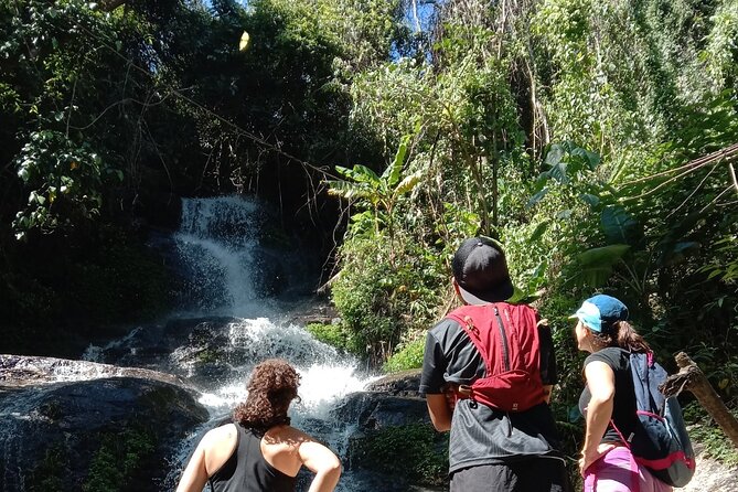 Chiang Mai: Doi Suthep Summit Trek – 7 Hour Pure Hiking Adventure - A proper mountain day above Chiang Mai