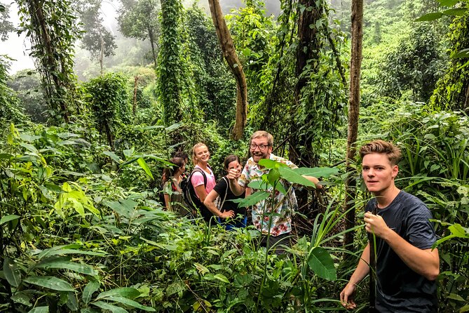 Chiang Mai: Doi Suthep Summit Trek – 7 Hour Pure Hiking Adventure - Wat Doi Suthep and the big Chiang Mai view